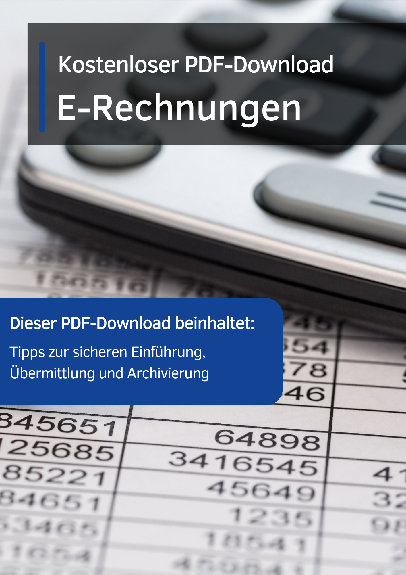 E-Rechnungen-PDF-Cover.png