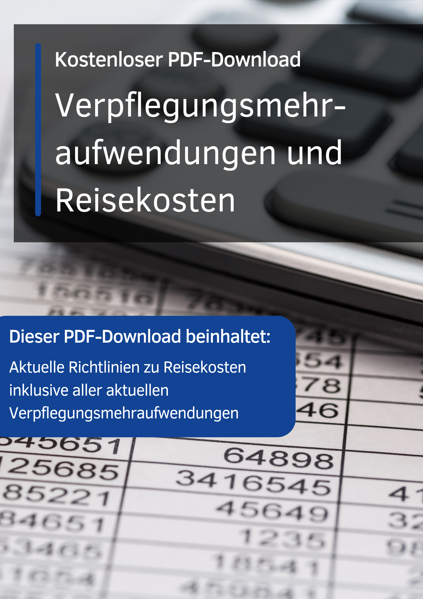 Verpflegungsmehraufwendungen-PDF-Cover.png